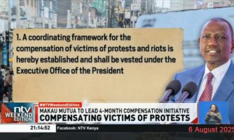WHAT MUST THE COMPENSATION PANEL DELIVER FOR PROTEST VICTIMS?